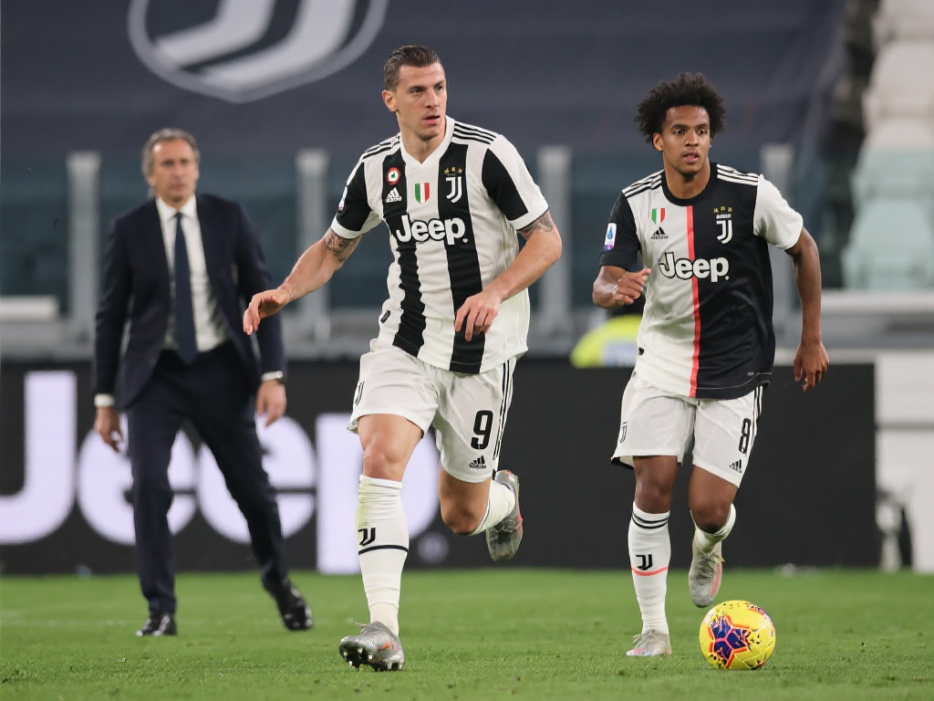 抗和卡位意 抗和卡位意